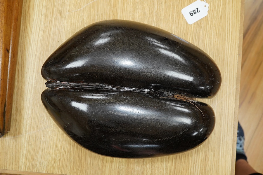 A coco-de-mer nut, 32cm x 25.5cm. Condition - good.